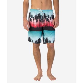 NEFF - PALM STRIPES HOT TUB SHORT