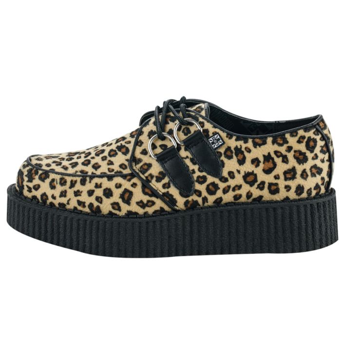 Creeper leopard clearance
